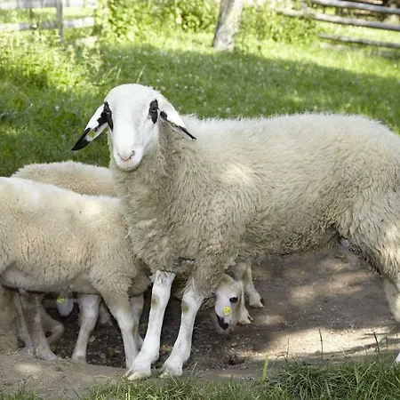 Familienhof Sereinig